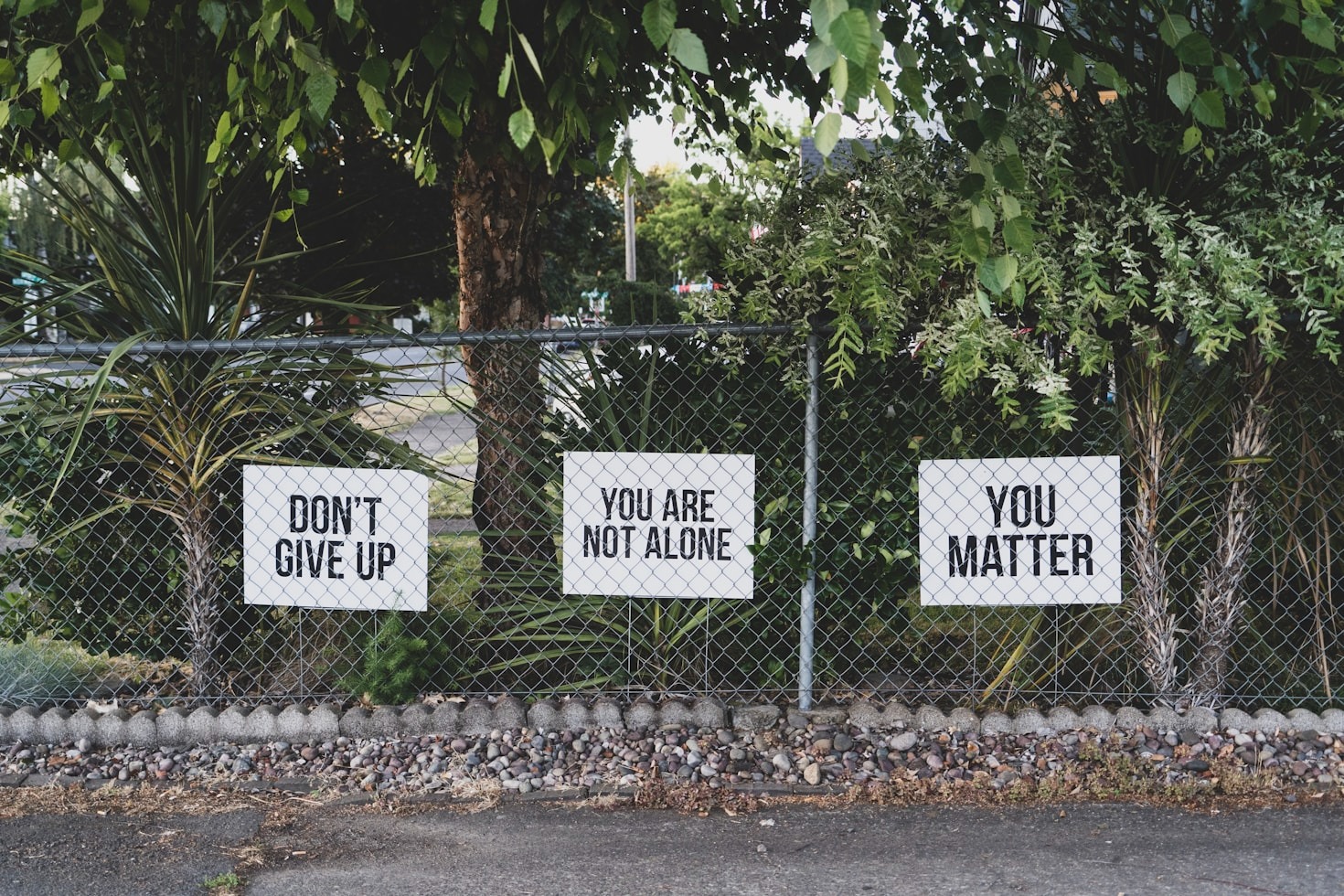 Curated Products Designed for Emotional Balance